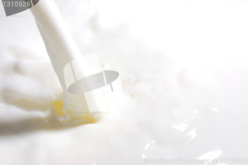 Image of milk splash