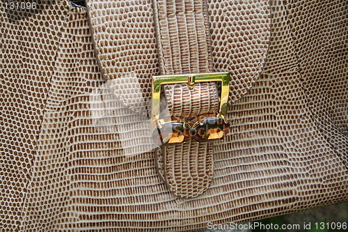 Image of Handbag in snakeskin