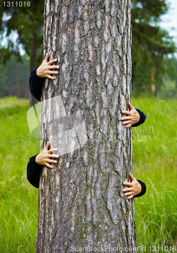 Image of Humorous collage - man climbs up a tree