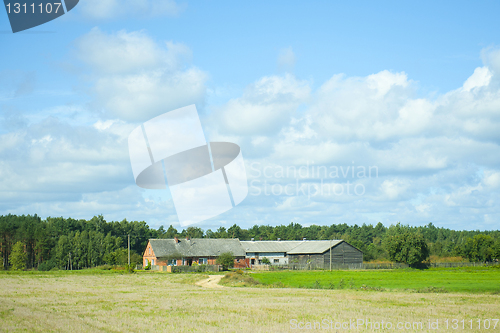 Image of Rural landscape