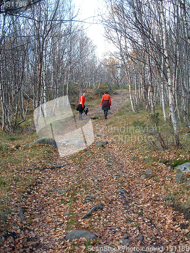 Image of Hikers in the mountainforest