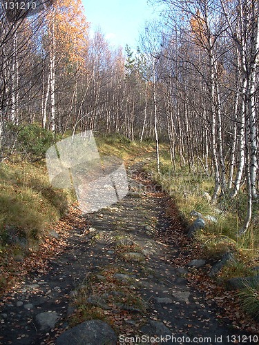 Image of Mountain landscape