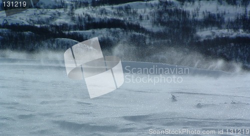 Image of Heavy wind in the mountain