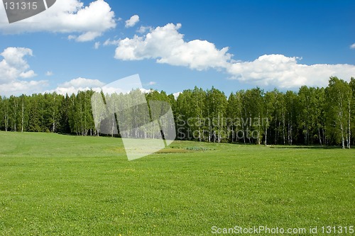 Image of Summer landscape