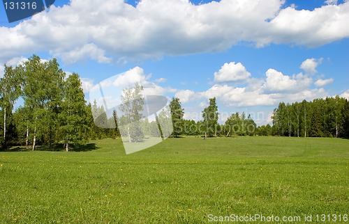 Image of Summer landscape