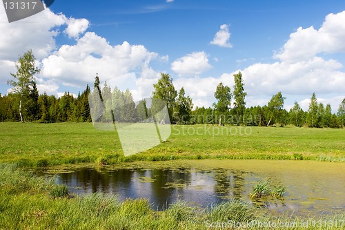 Image of Summer landscape