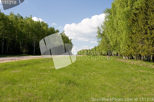 Image of Summer landscape