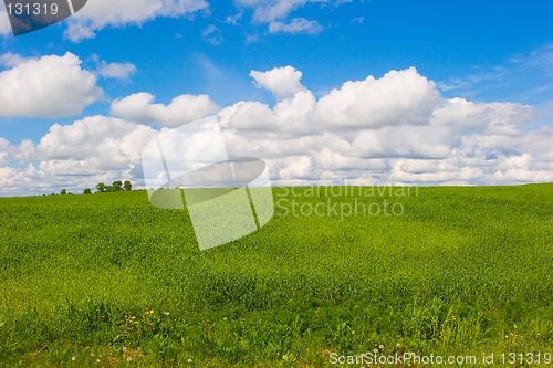 Image of Summer landscape