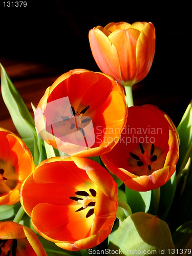 Image of Golden tulips