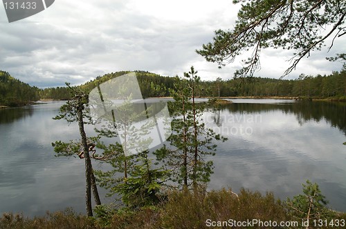Image of Quiet lake