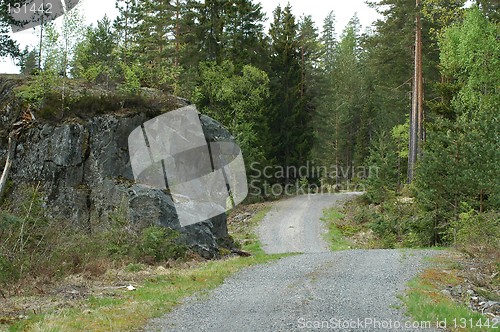 Image of Winding forst road