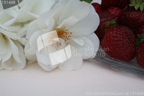 Image of White rose beside strawberries