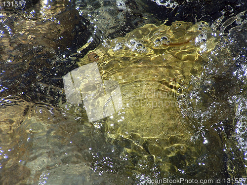 Image of Stone in the water