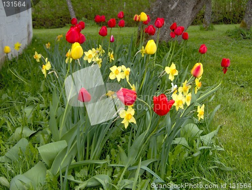 Image of flowers
