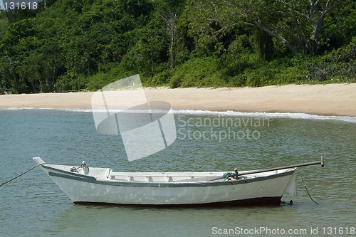 Image of Small, white fishing boat near the beach