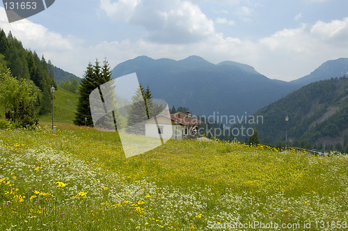 Image of Fiuli, Carnia,Landscape