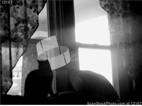 Image of A Ray of Light