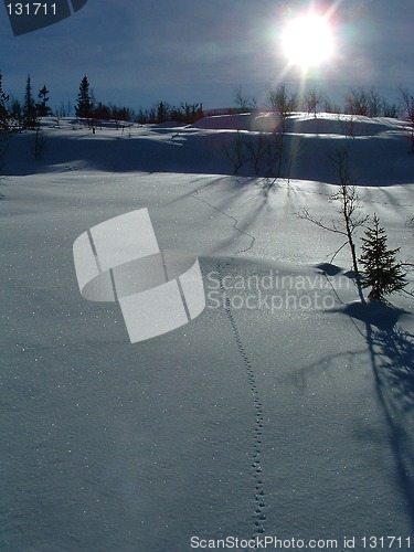 Image of Winter and snow