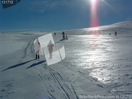 Image of Winterlandscape