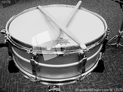 Image of Snare