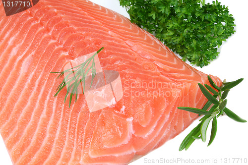 Image of Salmon.