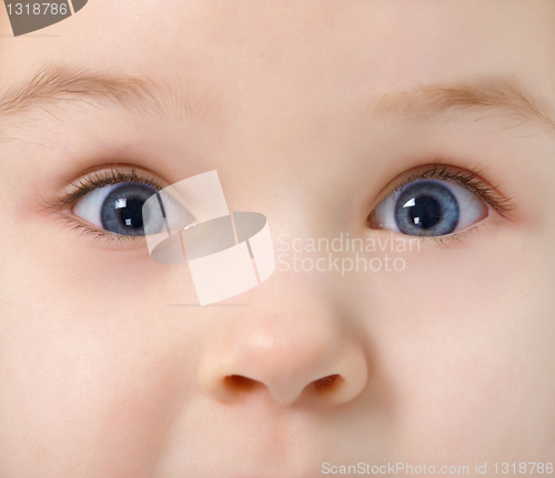 Image of Eyes of child full of interest