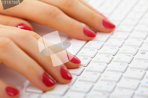 Image of Female hands on computer keyboard - typing