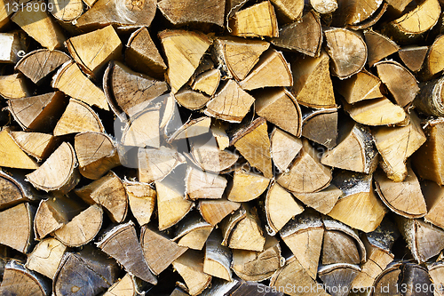 Image of Rural background - dry birch wood