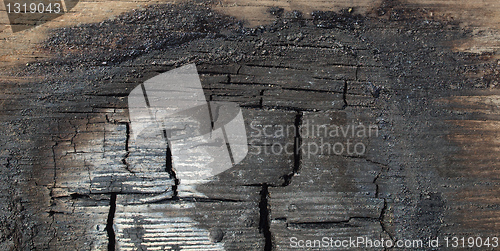 Image of Burned wood