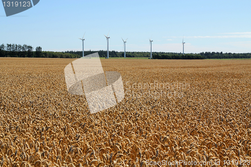 Image of Windmill's