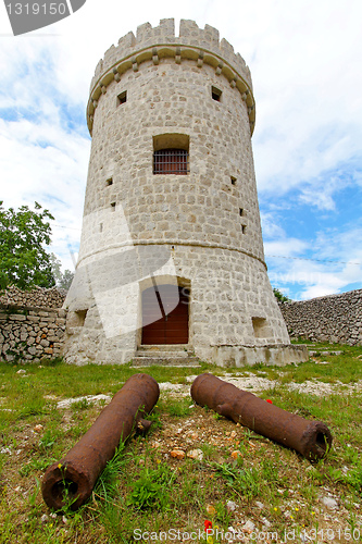 Image of Canons and castle