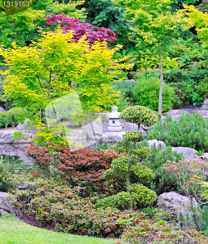 Image of Kyoto garden