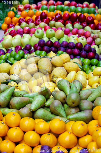 Image of Organic fruits