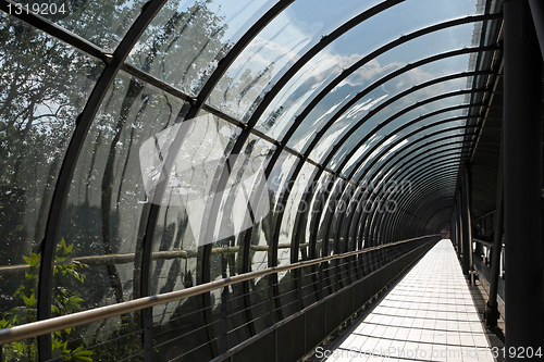 Image of Glass tunnel