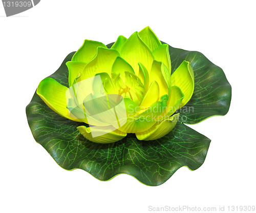 Image of Lotus