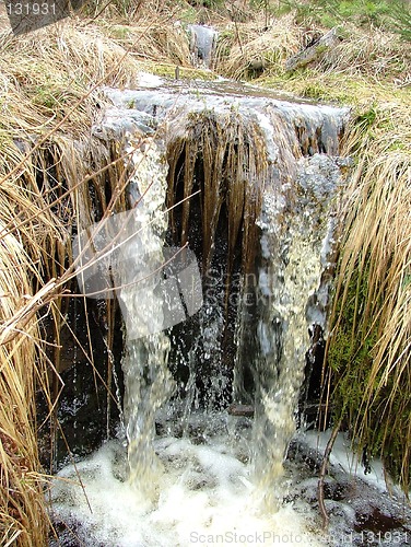 Image of Brook in the spring