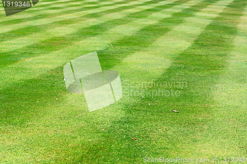 Image of Soccer grass