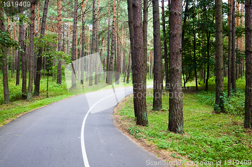 Image of Road to park