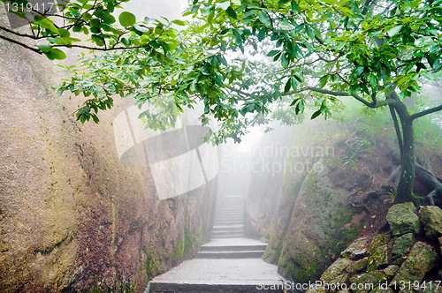 Image of Mountain chinese zen path