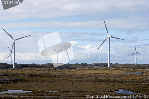 Image of Windmills