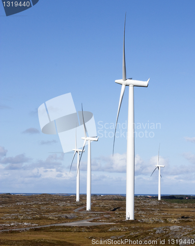 Image of Wind mills