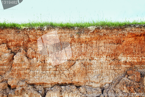 Image of Cliff - clay soil and grass