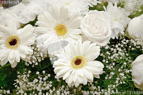 Image of White flowers backdrop - chrysanthemums and roses