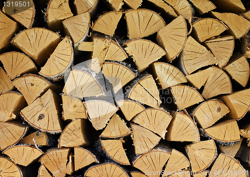 Image of Pile of dry birch wood - background