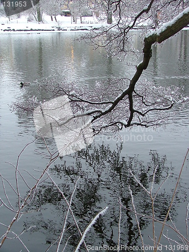 Image of ice cold 2
