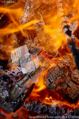 Image of Forest fire - flaming coals