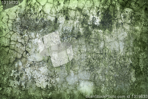 Image of Concrete wall green with time and moisture