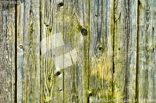 Image of Green with damp, wooden fence