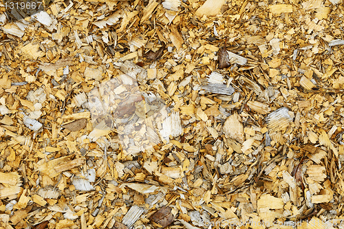 Image of Natural background - old wood shavings