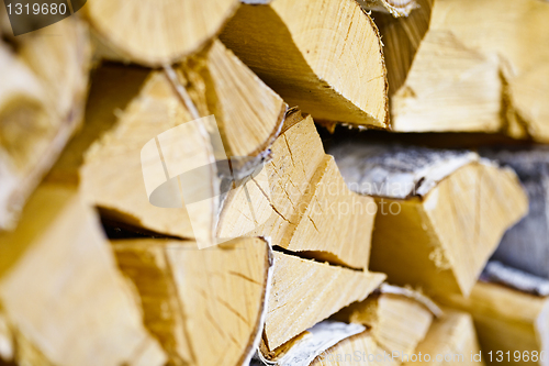 Image of Birch logs in woodpile